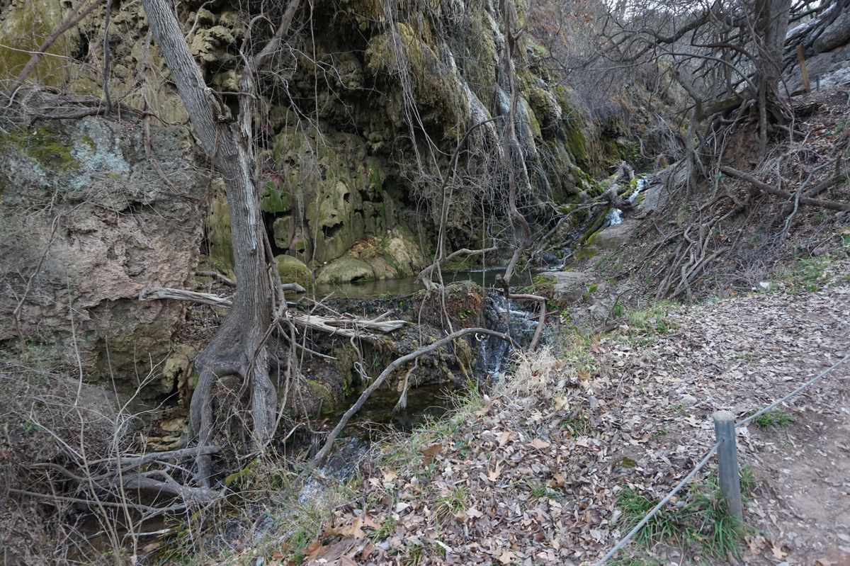 Colorado Bend State Park 2023